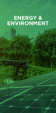 Cities leading the fight for climate change