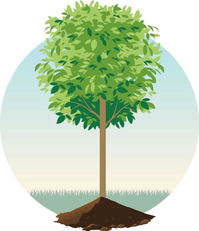 COVID’s impact: The ‘burbs’ are back, retail is changing