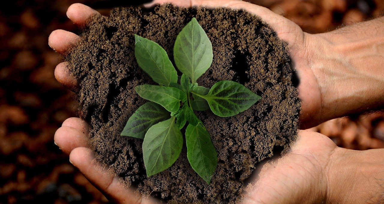 The three principles of sustainability and how to implement them in cities