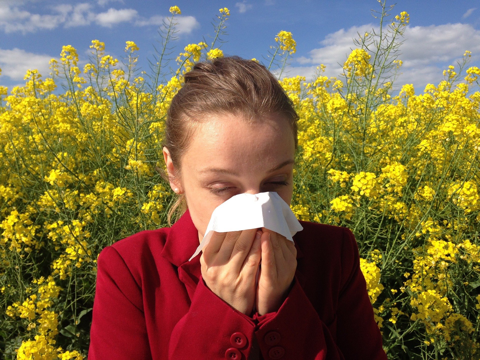 All-inclusive Pollen Allergy Masks in 2023