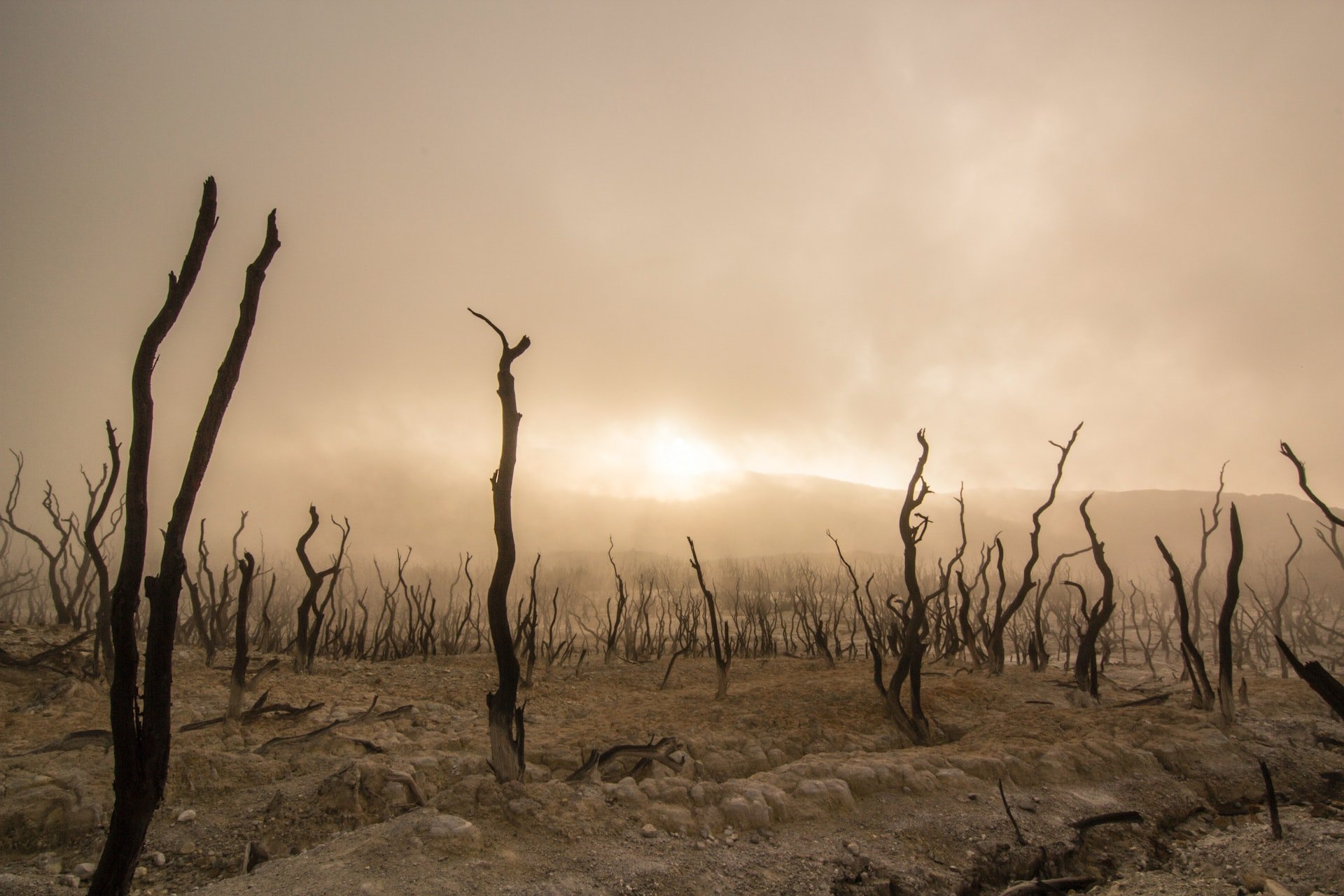 What is the Anthropocene and what are its main challenges