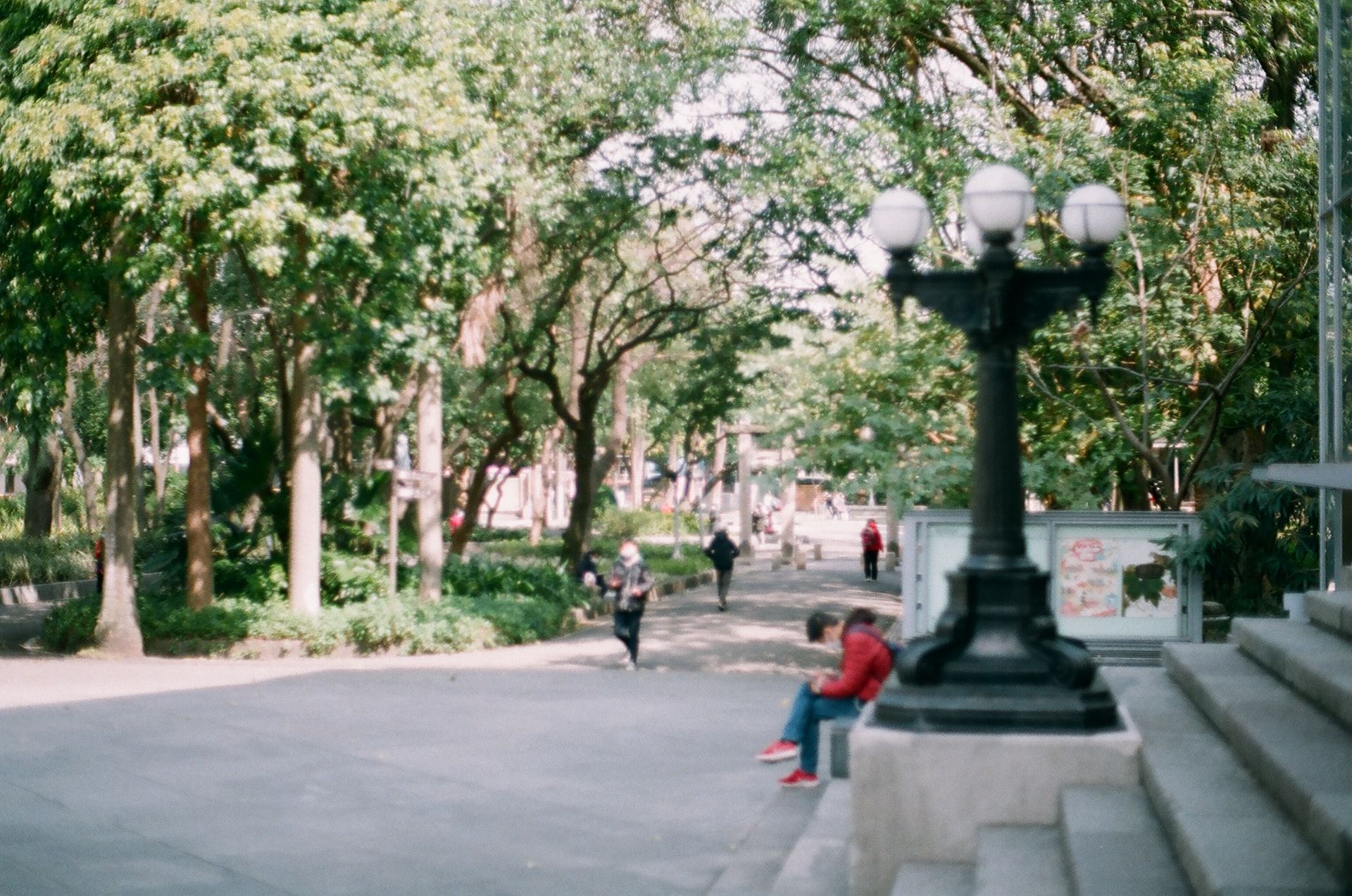 How can we transform cities into car-free cities?