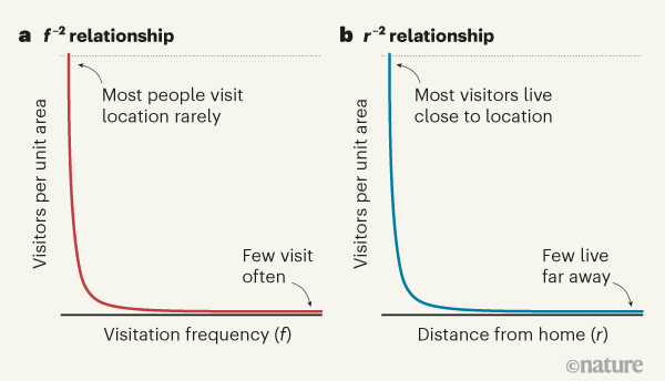 Trip frequency is key ingredient in new law of human travel