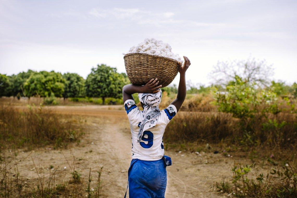 The 100 riskiest cities, 5 new reasons to limit global warming, and the future of African drylands
