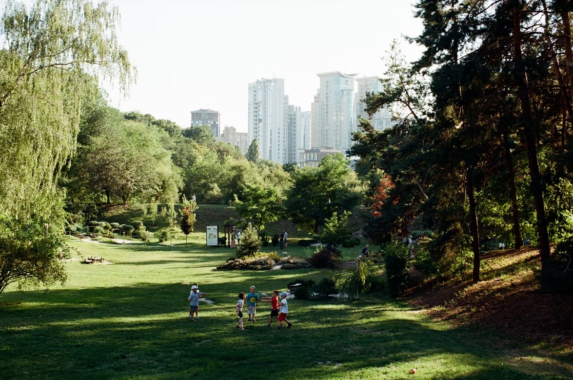 What is ecological succession and how does it affect cities?