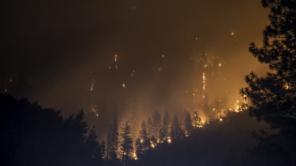 The effects of forest fires on cities