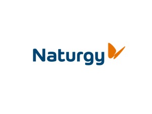 naturgy