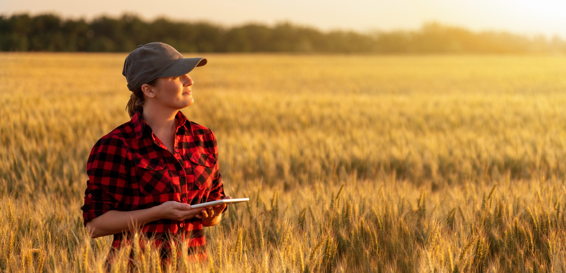 farming