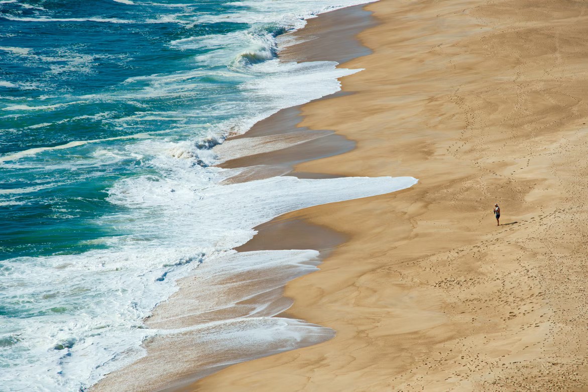Tidal power in cities: what is it, how does it work, pros and cons