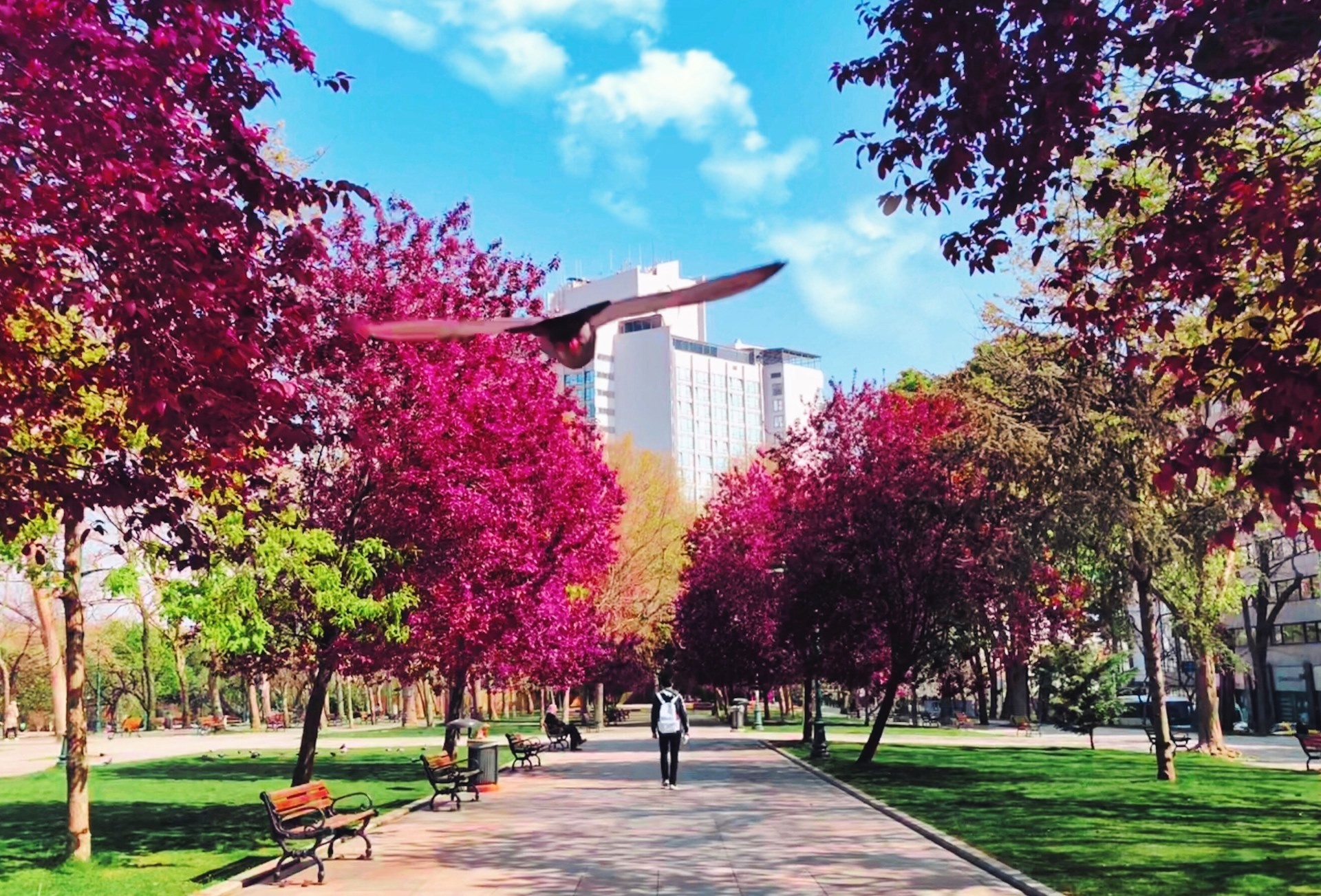 Urban metabolism, when cities are integrated into the natural environment