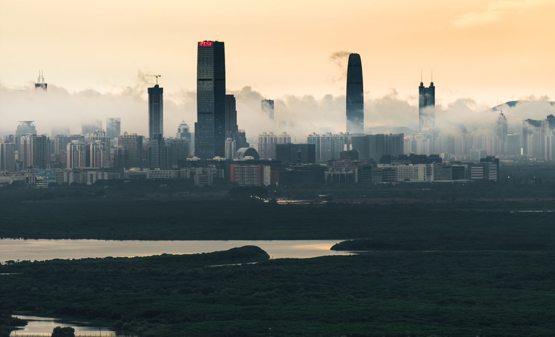 Pros and cons of living near wetlands