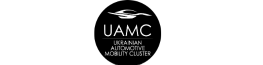 UKRAINIAN AUTOMOTIVE AND MOBILITY CLUSTER – UAMC
